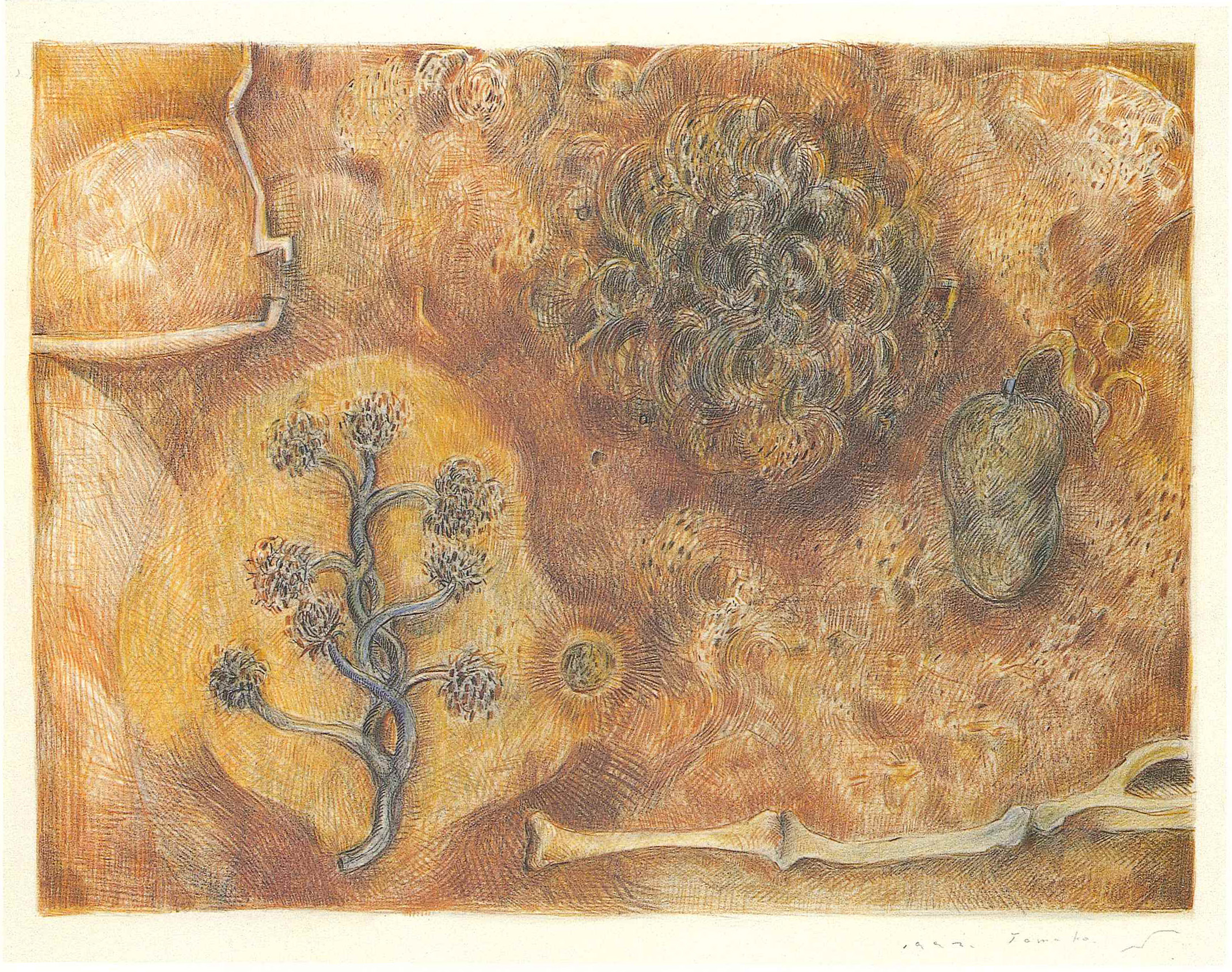 Bone・Fruit・Bush　　　1993 　300×400㎜              　　 colorpencil on paper